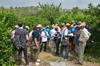 Afrikalı Ormancılara Türkiye'deki Ormancılık Faaliyetleri Anlatıldı