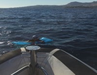 AKYARLAR - Deniz Yatağıyla Kaçmaya Çalışırken Ölüyordu