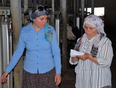 Süt kooperatifinde yönetimi kadınlar devraldı
