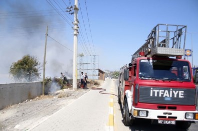 Antalya'da Ot Çalı Yangını Korkuttu