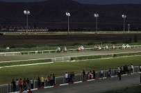 Elazığ'da Gece At Yarışları Başladı