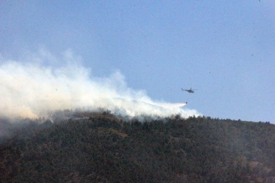 Hatay'daki Orman Yangını Kontrol Altına Alındı