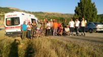 DEĞIRMENBAŞı - Karaman'da Yaban Domuzlarına Sürek Avı