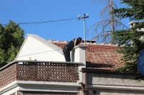 DAEŞ - Konya'da DAEŞ operasyonu