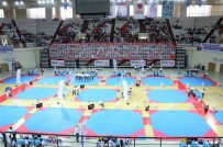 Osmaniyeli Tekvandocu Türkiye 2.'Si Oldu