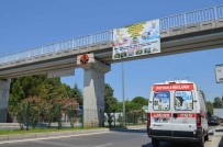 DALYAN - Sokak Hayvanlarına Pankartlı Destek