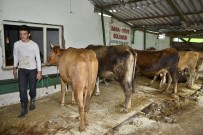 BARIŞ MANÇO - Yıldırım'da 'Sertifikalı Kurban Kesim Kursu'