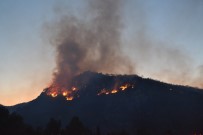 İzmir'deki Orman Yangını Kontrol Altına Alındı