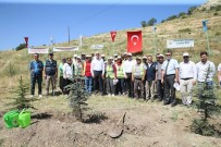 Kütahya'da 15 Temmuz Şehitleri İçin Hatıra Ormanı Oluşturuldu