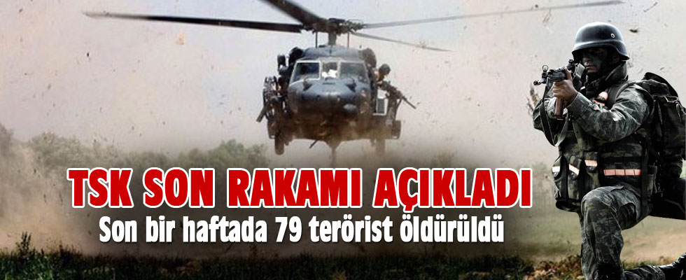 TSK açıkladı: 79 terörist etkisiz hale getirildi