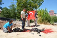 15 Temmuz Şehitleri İçin Kurban Kesildi