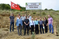 ERDAL EREN - 249 Şehit İçin 249 Fidan Dikildi