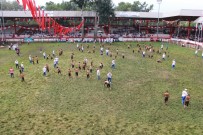 BAŞPEHLİVAN - 656. Kırkpınar Yağlı Güreşleri İkinci Gün Güreşleri Başladı