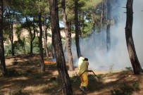 SİGARA İZMARİTİ - Bayramiç'te Orman Yangını
