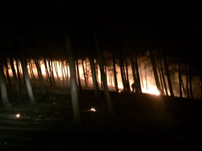 Kırıkhan'da Orman Yangını