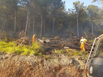 Bursa'da Orman Yangını Açıklaması 5 Hektar Kül Oldu