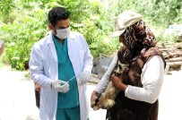 MAMAK BELEDIYESI - Mamak'ta 500 Evcil Hayvan Aşılandı