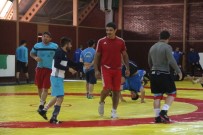 OLİMPİYAT ŞAMPİYONU - Taha Akgül Açıklaması Üçüncü Kez Dünya Şampiyonu Olmak İstiyorum