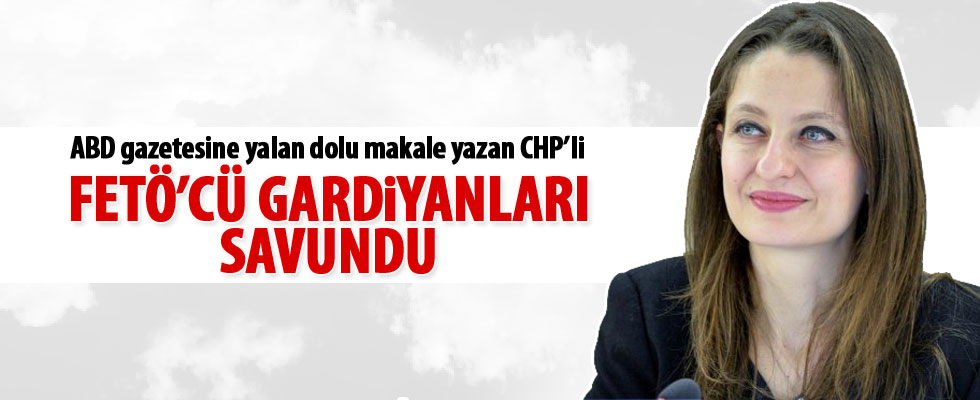 Şafak Pavey'den ABD gazetesine yalan dolu makale