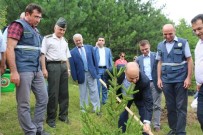 HASAN KESKIN - Düzce'de 15 Temmuz Demokrasi Şehitleri Adına Hatıra Ormanı Kuruldu