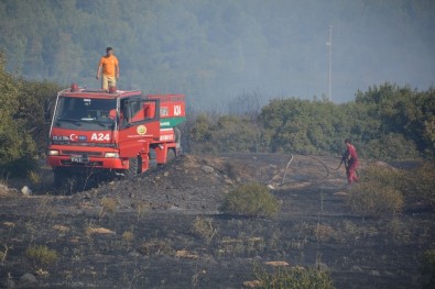 İzmir'de Makilik Alanda Yangın