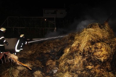 Kocaeli'de Ot Yangını Korkuttu