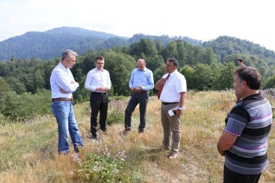 Yığılca'da Balköy Bal Üretim Ormanı Kuruluyor