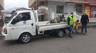 Maltepe Belediyesi'nden 5 Bin 233 Sokak Hayvanına Yardım Eli