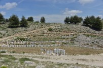 MAHMUT YıLMAZ - Mersin'de Bal Ormanları Arıcılarla Buluştu