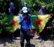 PKK'nın Tarla Fareleri Yakalandı