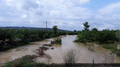 Sakarya'da Tarım Arazileri Sular Altında Kaldı