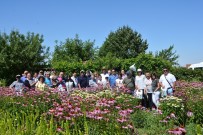 TIBBİ BİTKİLER - SÜ Fitoterapi Kursiyerlerini Ağırladı