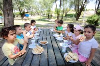 YENİMAHALLE BELEDİYESİ - Yenimahalle'nin Anaokulları Piknikte