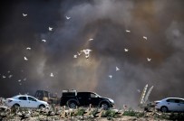 Bursa'da Katı Atık Depolama Alanındaki Yangında 5 Hektarlık Alan Zarar Gördü