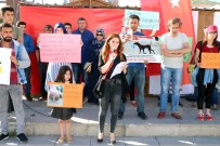 Yozgat'ta Hayvan Severler Yeni Yasa Tasarısını Protesto Etti