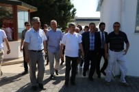 HÜSEYİN ÇINAR - Zonguldak Valisi Çınar Ereğli'de Vatandaşlarla Tanıştı