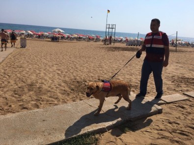 Antalya'da Plajlarda Güvenlik Önlemi Artırıldı