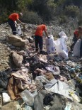 UMUT YOLCULUĞU - Aydın'da Umut Yolcularından Geriye Kalan Çöpler Temizlendi
