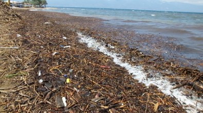 Burhaniye'de Selin Getirdiği Çöpler Denizi Kirletti