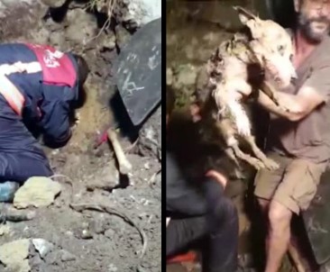 Cihangir'de 5 Saat Süren Köpek Kurtarma Operasyonu