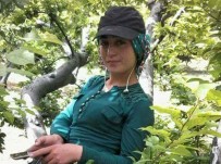 Gülnar'da Traktör Devrildi Açıklaması 1 Ölü, 3 Yaralı