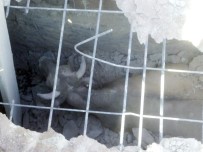 İLYASLı - Kanalizasyona Düşen İneği AFAD Ekipleri Kurtardı