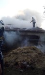 BÜYÜKBAŞ HAYVANLAR - Sakarya'da Ahır Ve Samanlık Yangını