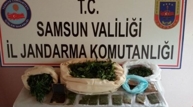 Samsun'da Uyuşturucu Operasyonları