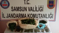 UYUŞTURUCU OPERASYONU - Samsun'da Uyuşturucu Operasyonları