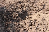 TREN RAYLARı - Tren Raylarına Tuzaklanan Patlayıcı İmha Edildi