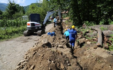 Ordu'da Mevsimlik Fındık İşçilerine Hazırlık