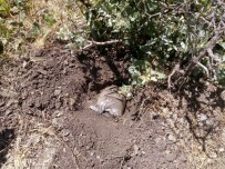 ÖZEL BİRLİK - Silvan'da 2 Adet EYP Bulundu