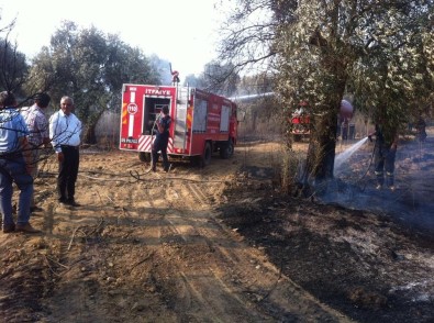 Sultanhisar'da Yangın