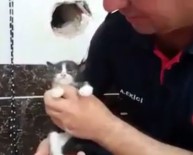 Yavru Kediyi Duvarı Delip Kurtardılar Haberi